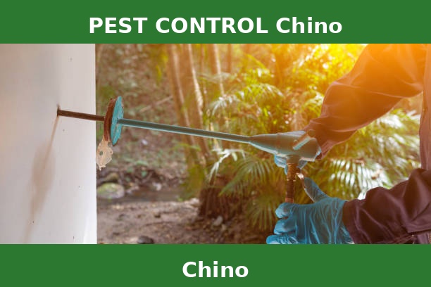 PEST CONTROL Chino